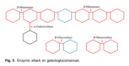 The role of oligosaccharides and polysaccharides of xylan and mannan in gut health of monogastric animals - Image 3