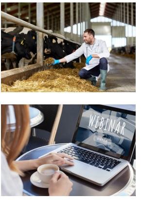 Developing effective natural solutions for animals - Liptosa: 2020 Summary and 2021 Challenges - Image 2