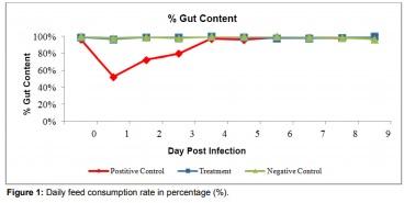 Efficacy of natural herbal formulation against acute hepatopancreatic necrosis disease (AHPND) causing Vibrio parahaemolyticus in penaeus vannamei - Image 2