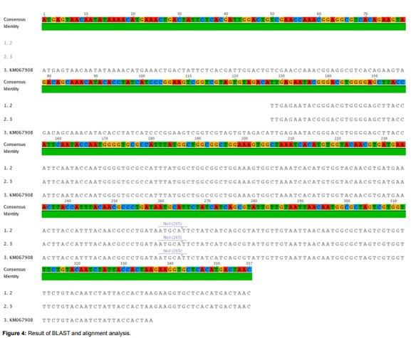 Efficacy of natural herbal formulation against acute hepatopancreatic necrosis disease (AHPND) causing Vibrio parahaemolyticus in penaeus vannamei - Image 6