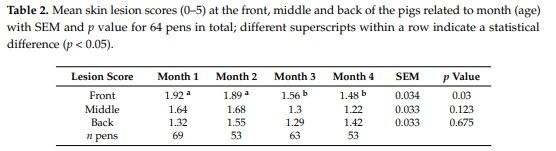Exploration Feeding and Higher Space Allocation Improve Welfare of Growing-Finishing Pigs - Image 3