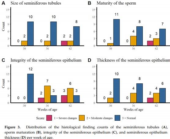 Effect of the Age and Body Weight of the Broiler Breeders Male on the Presentation of Oxidative Stress and Its Correlation with the Quality of Testicular Parenchyma and Physiological Antioxidant Levels - Image 4