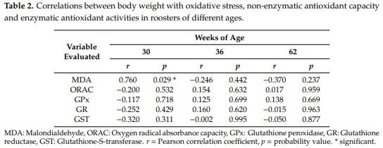 Effect of the Age and Body Weight of the Broiler Breeders Male on the Presentation of Oxidative Stress and Its Correlation with the Quality of Testicular Parenchyma and Physiological Antioxidant Levels - Image 5