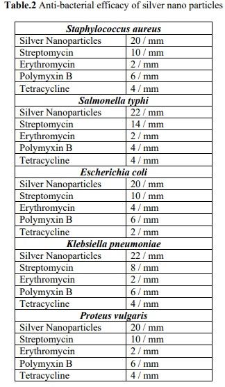 Bio-synthesis of silver nano particles from marine alga Halymenia Poryphyroides and its antibacterial efficacy - Image 7