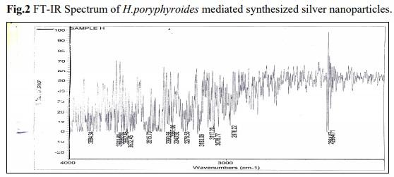 Bio-synthesis of silver nano particles from marine alga Halymenia Poryphyroides and its antibacterial efficacy - Image 3