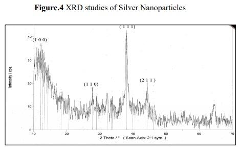 Bio-synthesis of silver nano particles from marine alga Halymenia Poryphyroides and its antibacterial efficacy - Image 5