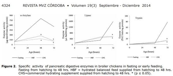 Early feeding to modify digestive enzyme activity in broiler chickens - Image 5