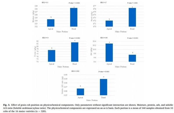 Maize nutrient composition and the influence of xylanase addition - Image 4