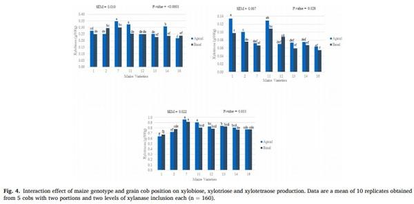 Maize nutrient composition and the influence of xylanase addition - Image 8