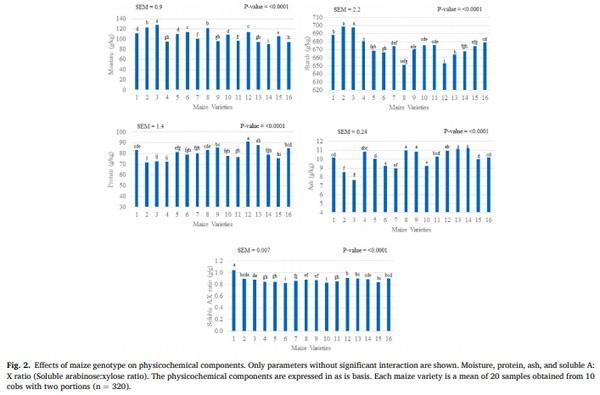 Maize nutrient composition and the influence of xylanase addition - Image 3