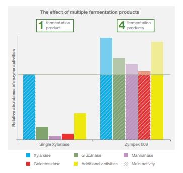 Dietary fibre pleads for multi-component enzyme products - Image 1