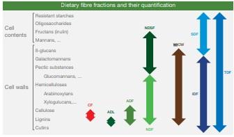 Dietary fibre pleads for multi-component enzyme products - Image 4