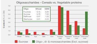 Dietary fibre pleads for multi-component enzyme products - Image 6