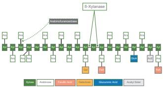 Dietary fibre pleads for multi-component enzyme products - Image 3