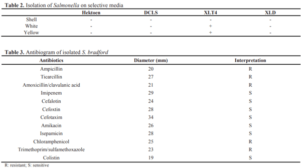 Minor Salmonella: potential pathogens in eggs in Algeria - Image 2