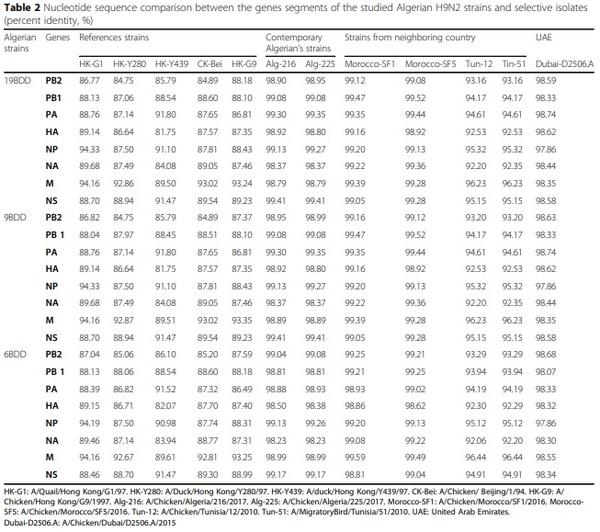 Full-length genome sequences of the first H9N2 avian influenza viruses isolated in the Northeast of Algeria - Image 3