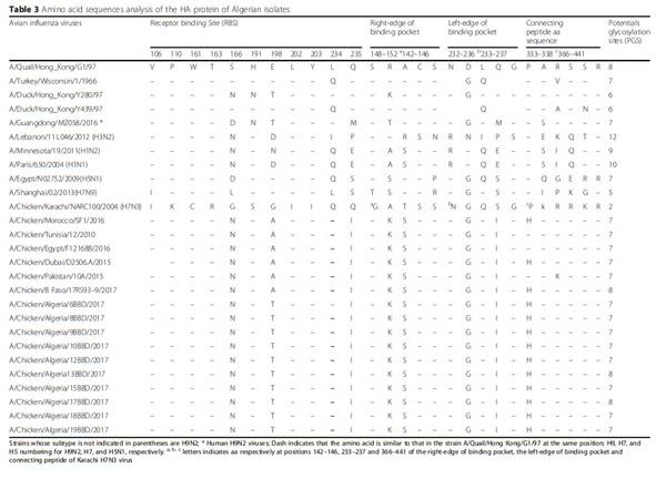 Full-length genome sequences of the first H9N2 avian influenza viruses isolated in the Northeast of Algeria - Image 4