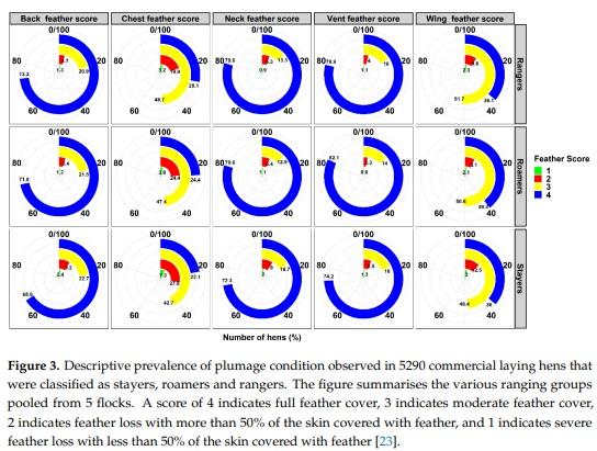 Managing Free-Range Laying Hens—Part B: Early Range Users Have More Pathology Findings at the End of Lay but Have a Significantly Higher Chance of Survival—An Indicative Study - Image 7