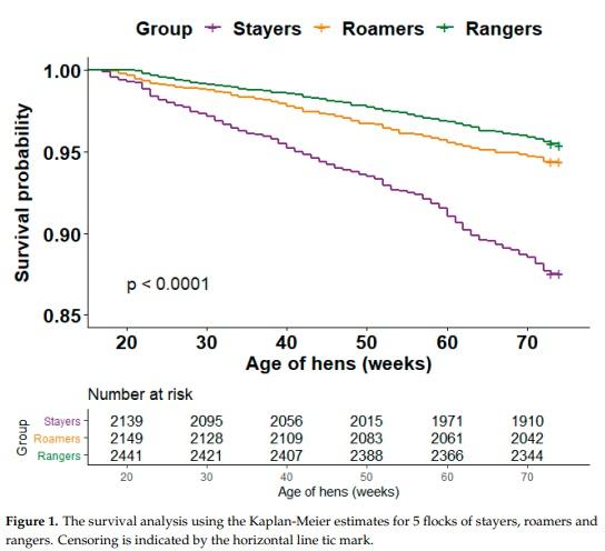 Managing Free-Range Laying Hens—Part B: Early Range Users Have More Pathology Findings at the End of Lay but Have a Significantly Higher Chance of Survival—An Indicative Study - Image 3