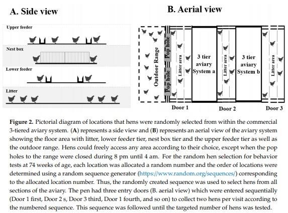 Frequent Visits to an Outdoor Range and Lower Areas of an Aviary System Is Related to Curiosity in Commercial Free-Range Laying Hens - Image 4