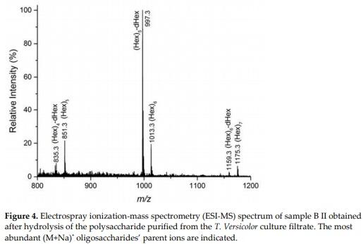 Oligosaccharides Derived from Tramesan: Their Structure and Activity on Mycotoxin Inhibition in Aspergillus flavus and Aspergillus carbonarius - Image 4