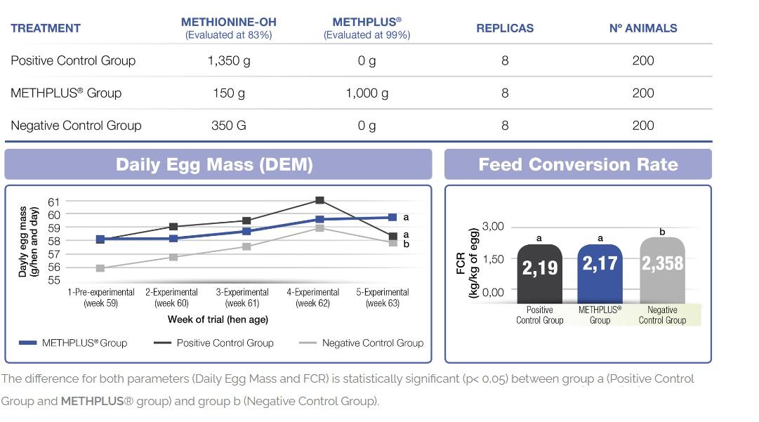 Methplus - Image 6