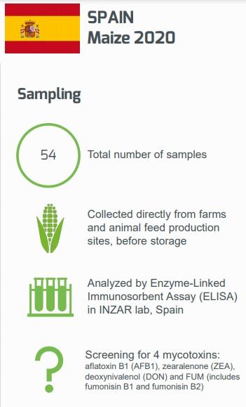 Mycotoxin Contamination in Maize harvested in Spain in 2020 - Image 1