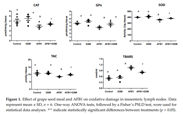 Grape Seed Waste Counteracts Aflatoxin B1 Toxicity in Piglet Mesenteric Lymph Nodes - Image 1
