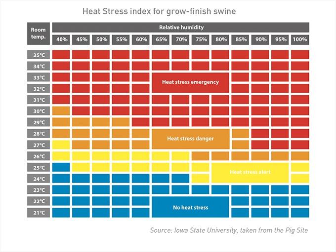 The power of yeast probiotics to combat heat stress in pigs - Image 2