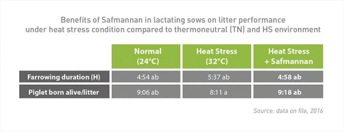 The power of yeast probiotics to combat heat stress in pigs - Image 5