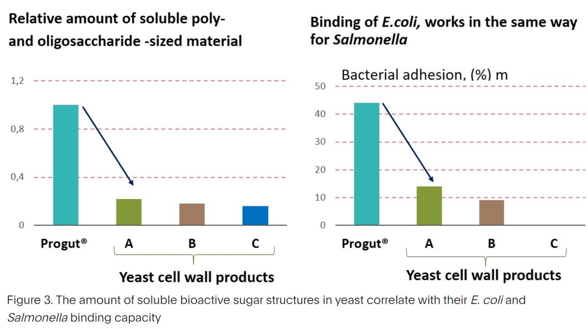 Yeast products in the feeding of monogastric animals – what is important for their functionality - Image 5