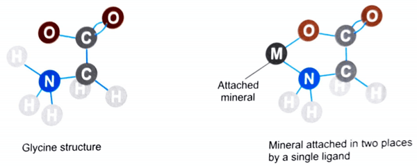 Trace minerals are vital for cattle performance - Image 8