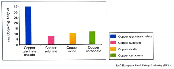 Trace minerals are vital for cattle performance - Image 10