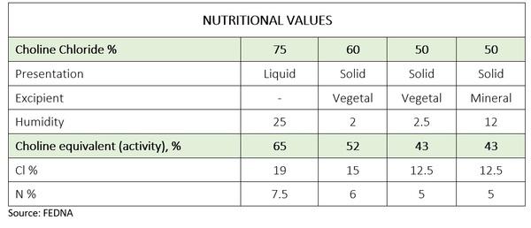 Choline in animal nutrition: Its role, sources and new approaches - Image 1