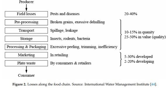 Losses in the Grain Supply Chain: Causes and Solutions - Image 2