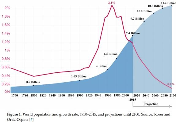 Losses in the Grain Supply Chain: Causes and Solutions - Image 1