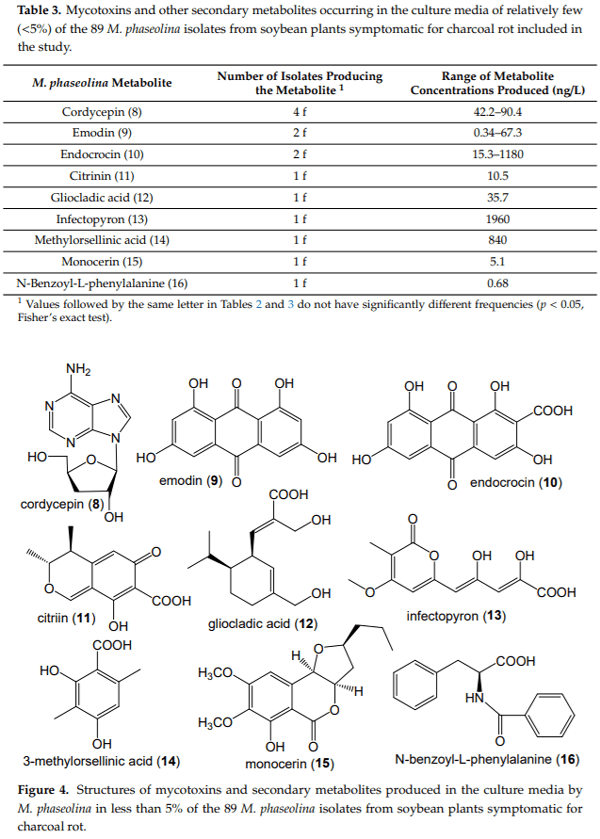 First Report of the Production of Mycotoxins and Other Secondary Metabolites by Macrophomina phaseolina (Tassi) Goid. Isolates from Soybeans (Glycine max L.) Symptomatic with Charcoal Rot Disease - Image 5