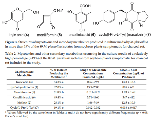 First Report of the Production of Mycotoxins and Other Secondary Metabolites by Macrophomina phaseolina (Tassi) Goid. Isolates from Soybeans (Glycine max L.) Symptomatic with Charcoal Rot Disease - Image 4