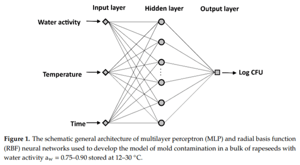 Application of Artificial Neural Networks to Assess the Mycological State of Bulk Stored Rapeseeds - Image 3