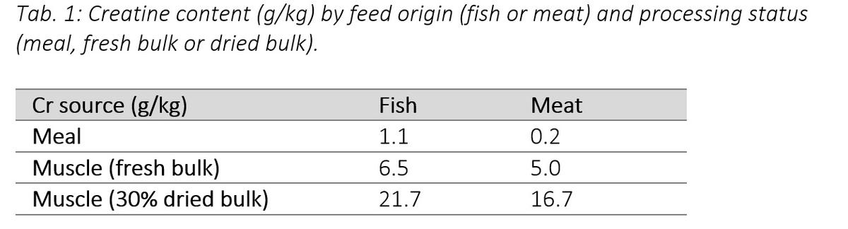 Improving poultry health – does creatine offer new possibilities? - Image 3