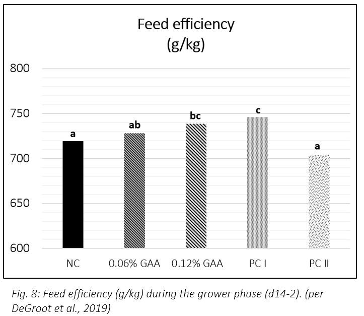 Improving poultry health – does creatine offer new possibilities? - Image 9