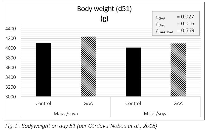 Improving poultry health – does creatine offer new possibilities? - Image 10