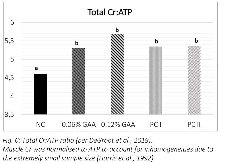 Improving poultry health – does creatine offer new possibilities? - Image 7