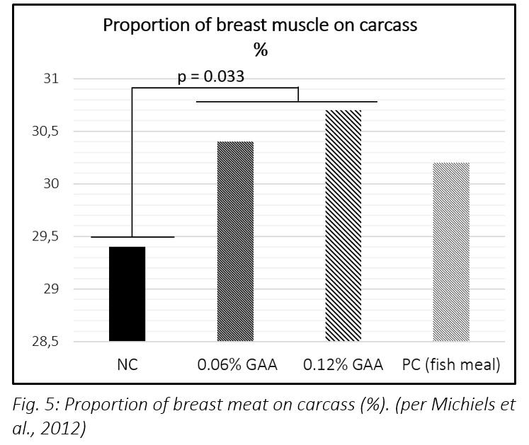 Improving poultry health – does creatine offer new possibilities? - Image 6