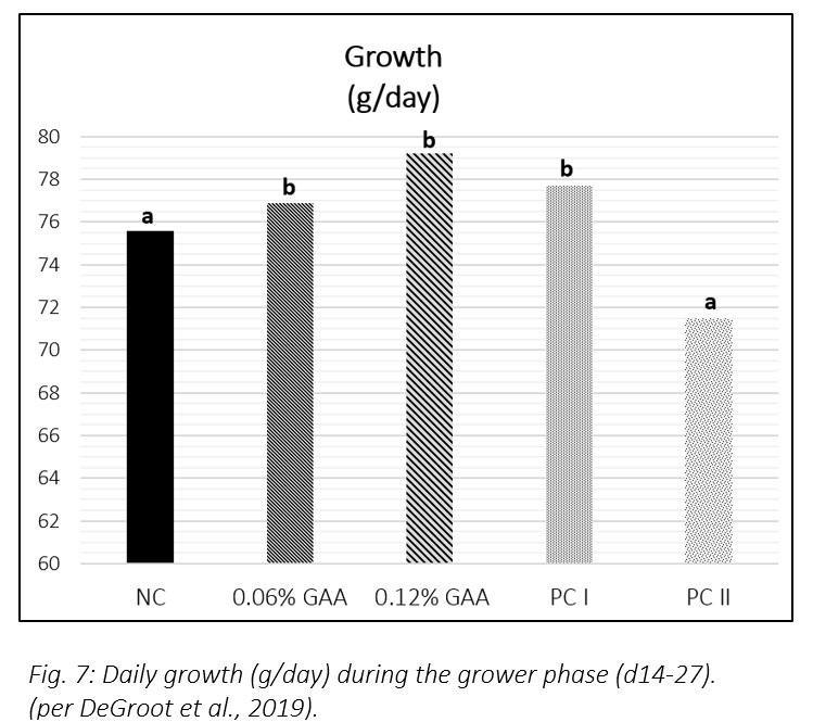 Improving poultry health – does creatine offer new possibilities? - Image 8