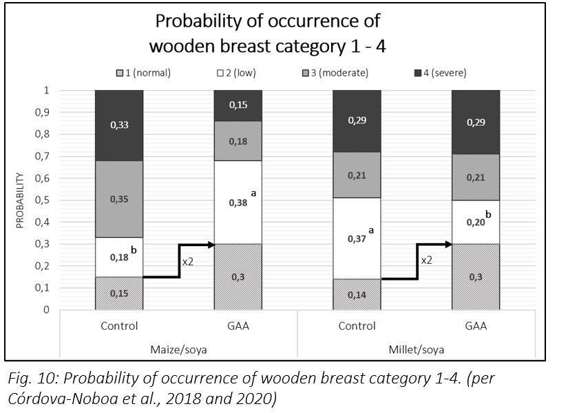 Improving poultry health – does creatine offer new possibilities? - Image 11