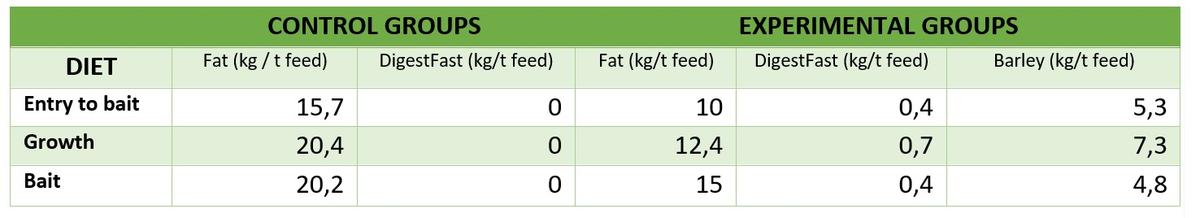 Role of Lipids in animal feed - Image 2