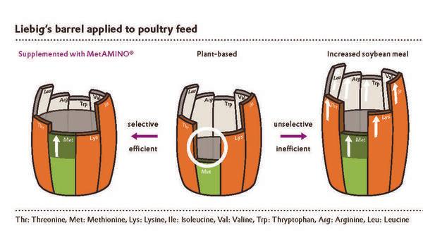 Sustainability: Saving Land. When Less is more - Image 3