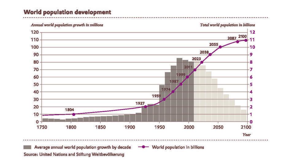 Sustainability: Saving Land. When Less is more - Image 1