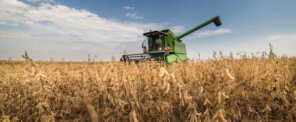 Sustainability: Saving Land. When Less is more - Image 1